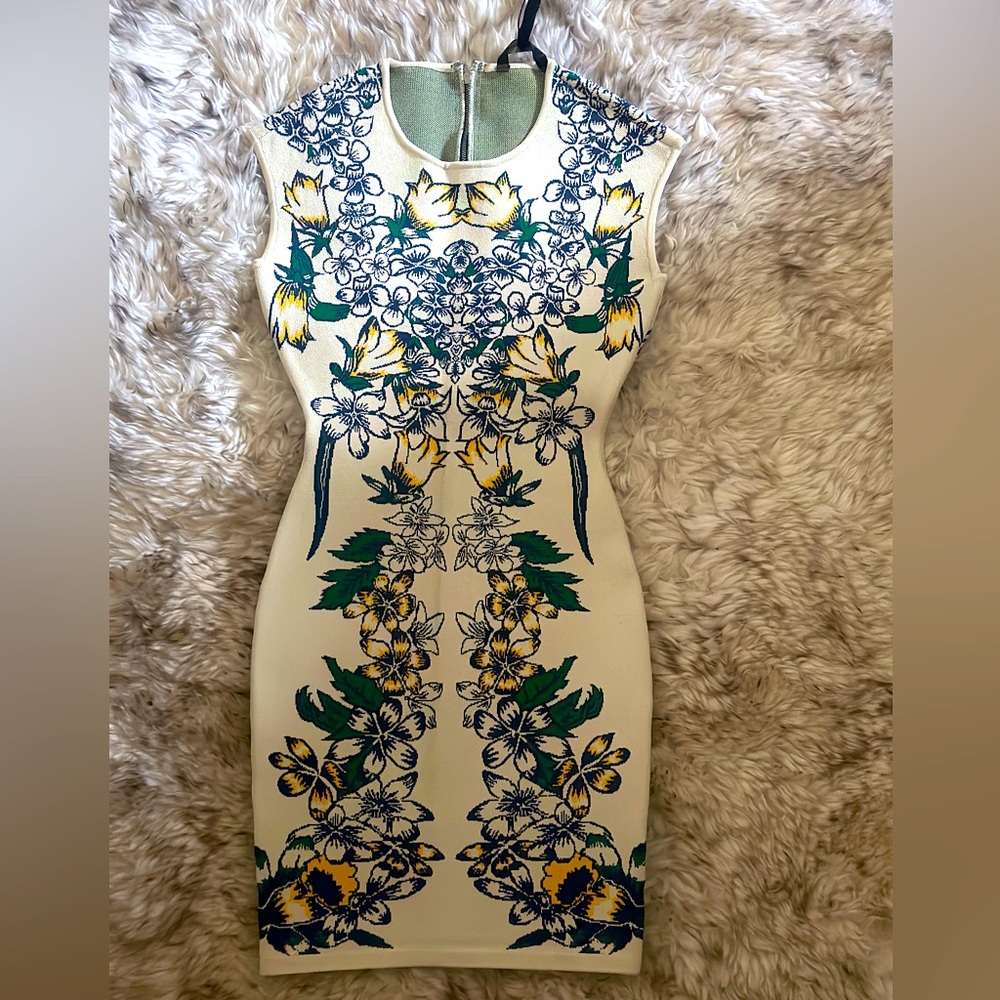 GORGEOUS BCBG body con dress